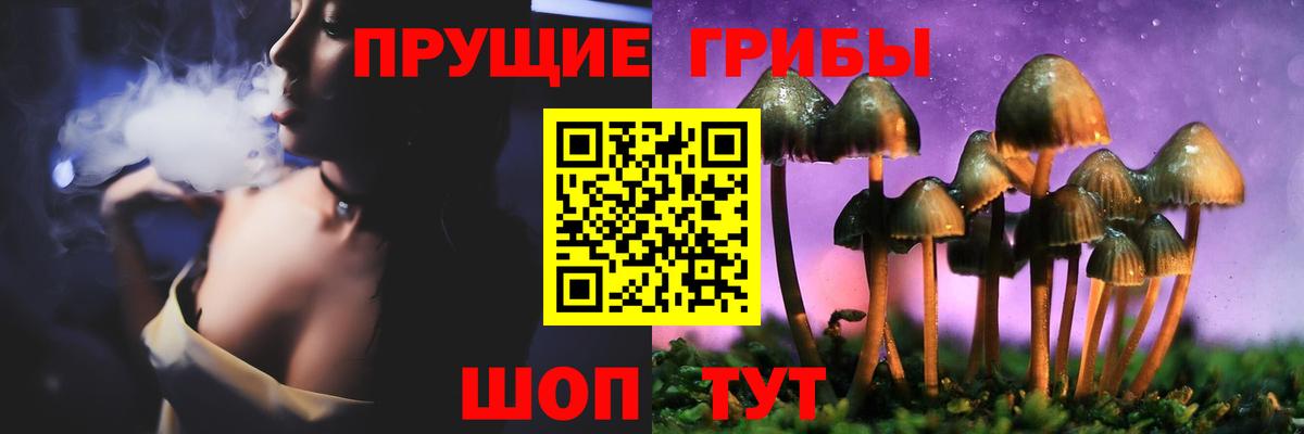 Псилоцибиновые грибы мицелий Югорск